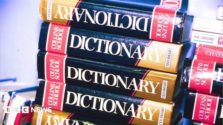 A pile of dictionaries
