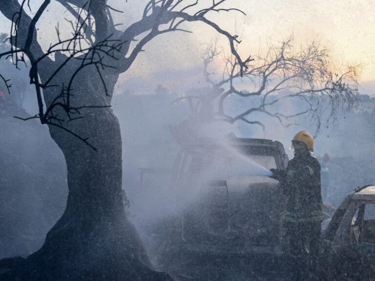 Palestine weekly: Olive harvest opens under assault | Israel-Palestine conflict News Palestine weekly: Olive harvest opens under assault | Israel-Palestine conflict News