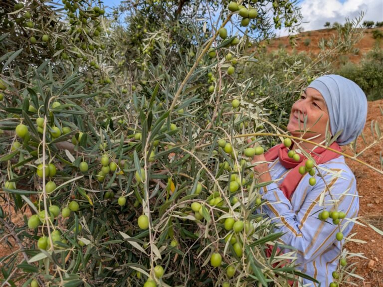 The Muslims finding belonging in southern Spain | Longform The Muslims finding belonging in southern Spain | Longform