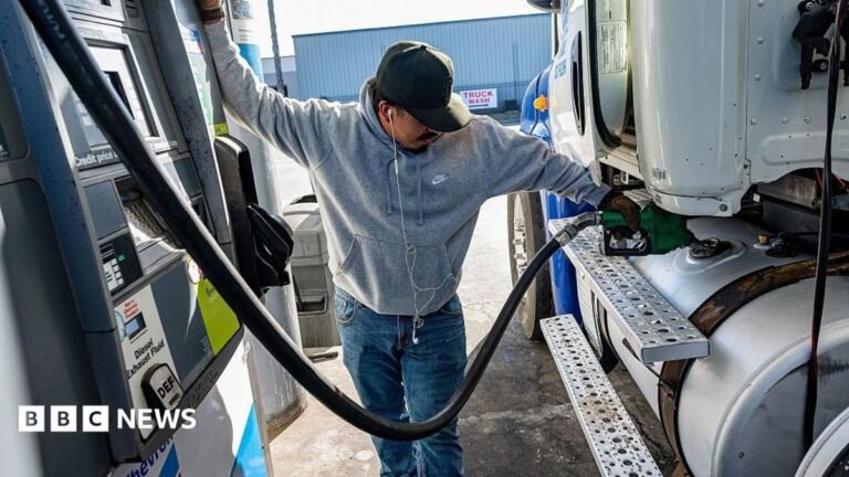 US pressures Europe to release diesel reserves as Trump threatens export ban A blonde woman fills her car up with diesel