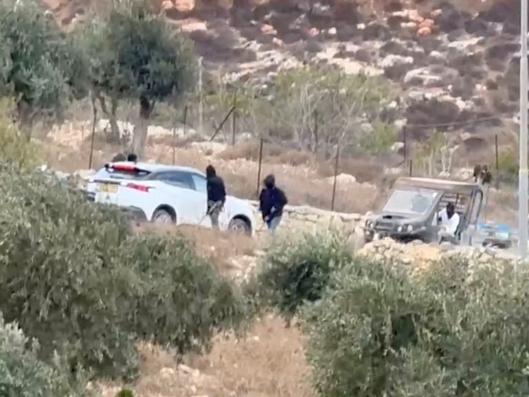 Why have settler pogroms surged during olive harvest season in West Bank? | Israel-Palestine conflict News